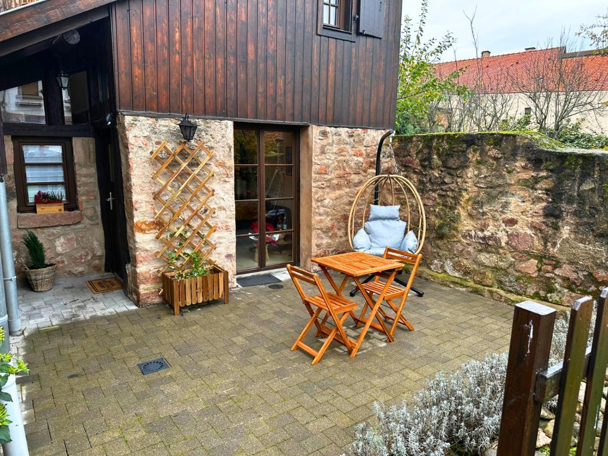 Le Petit Chataignier - Cozy Immo Châtenois Esterno foto