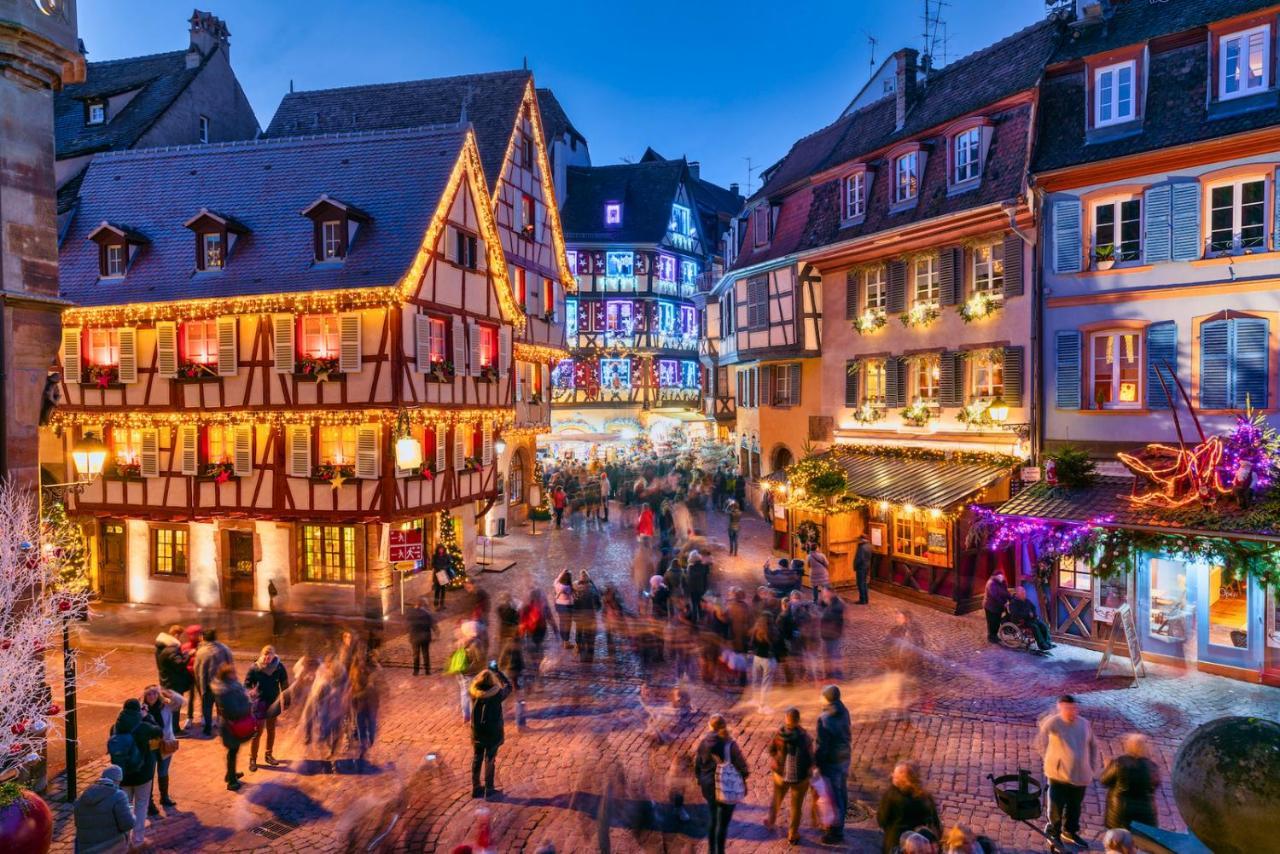 Le Petit Chataignier - Cozy Immo Châtenois Esterno foto