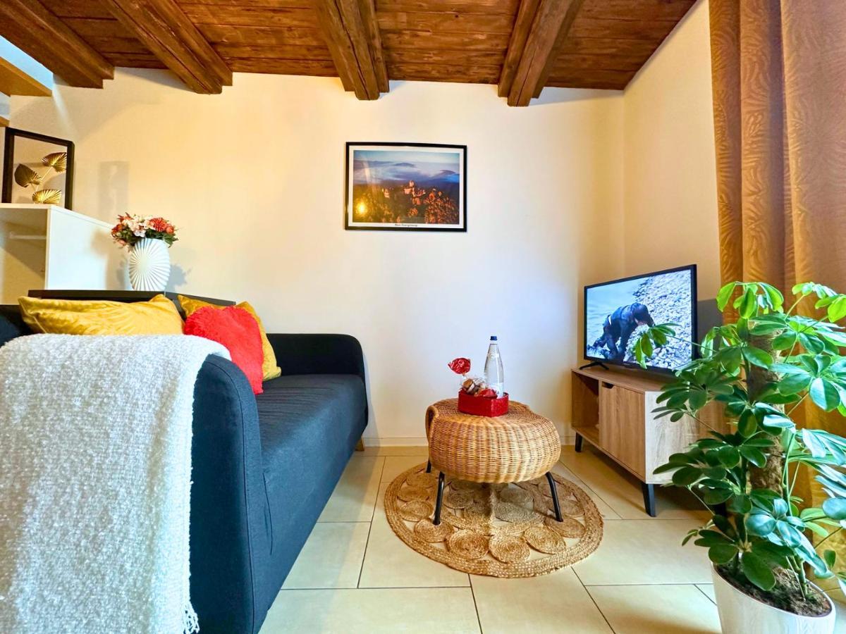 Le Petit Chataignier - Cozy Immo Châtenois Esterno foto