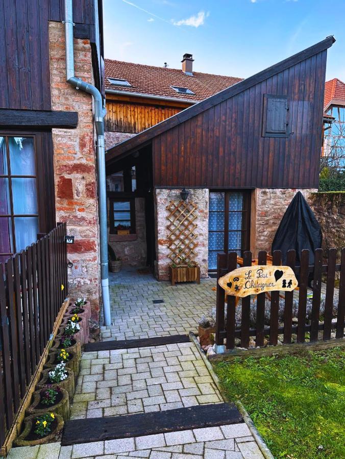 Le Petit Chataignier - Cozy Immo Châtenois Esterno foto