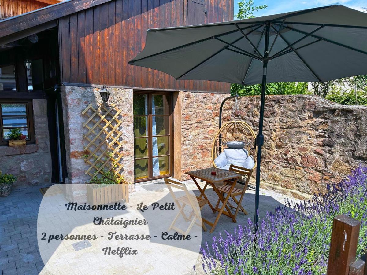 Le Petit Chataignier - Cozy Immo Châtenois Esterno foto