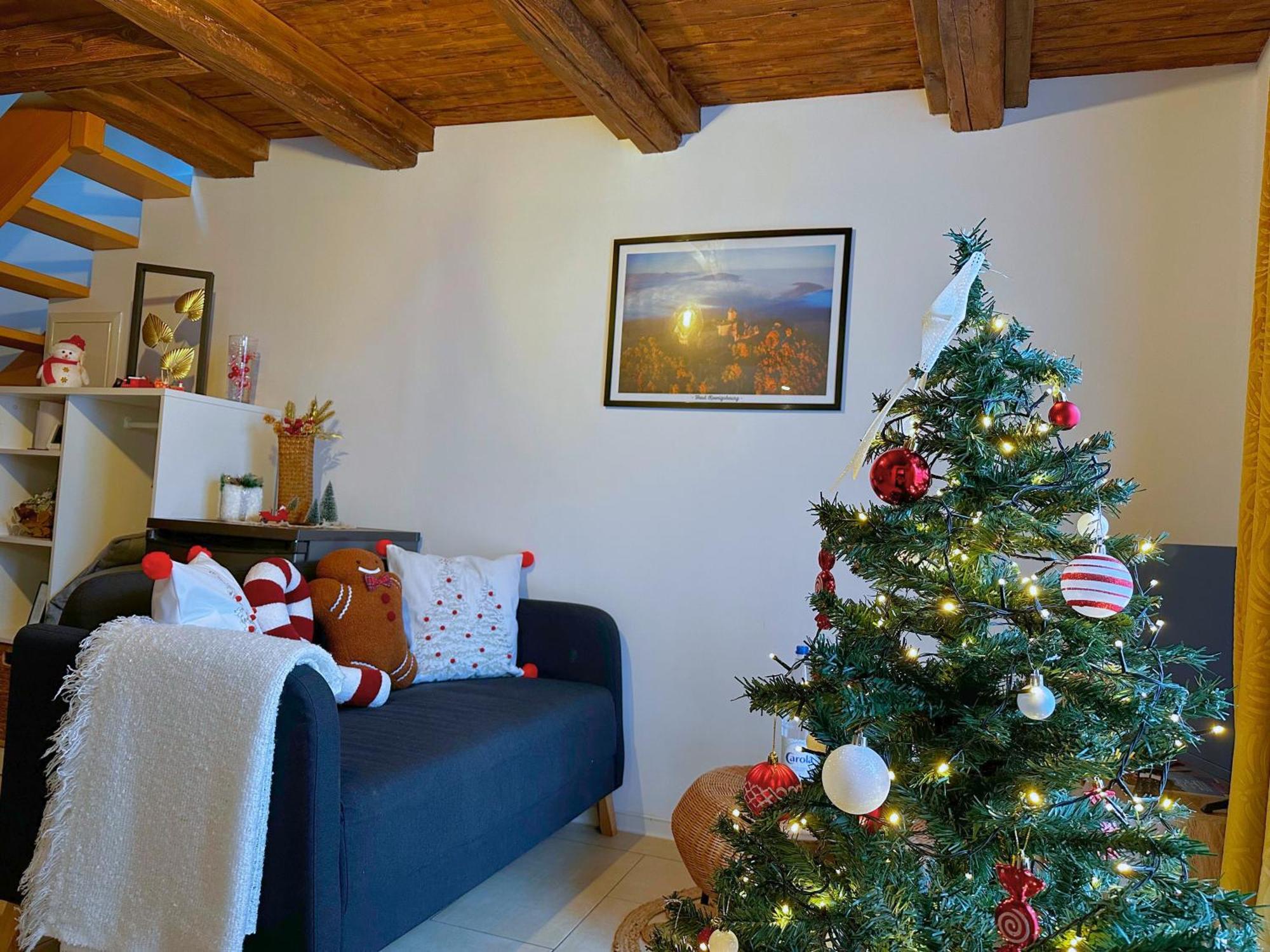 Le Petit Chataignier - Cozy Immo Châtenois Esterno foto